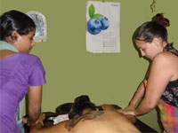 college of ayurveda in india